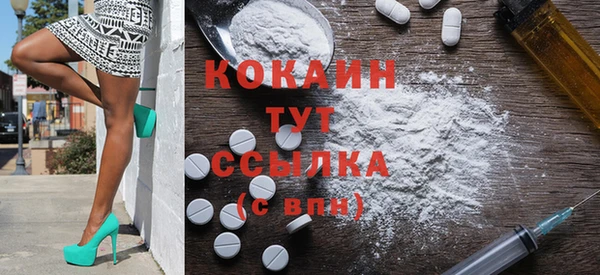 мяу мяу мука Белокуриха