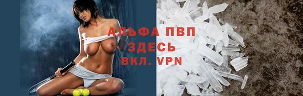 мяу мяу мука Белокуриха