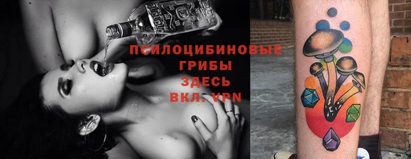 мяу мяу мука Белокуриха