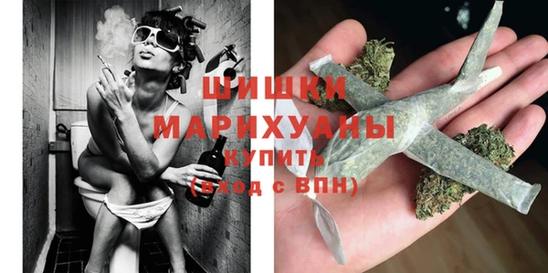 прущие грибы Белоозёрский