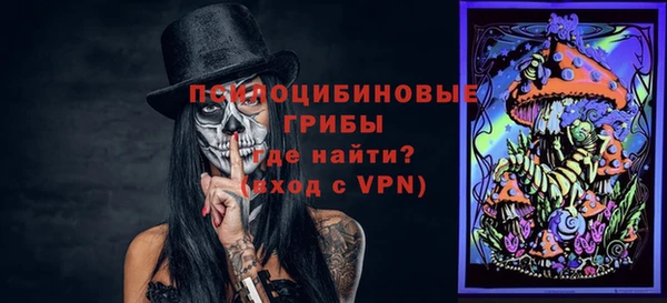 мяу мяу мука Белокуриха