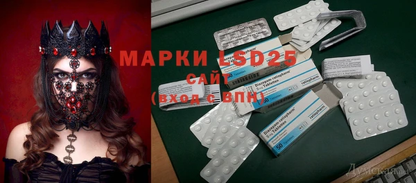 прущие грибы Белоозёрский