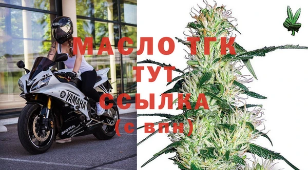 прущие грибы Белоозёрский