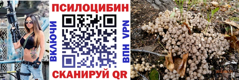 Купить закладки  Гатчина  Псилоцибиновые грибы Cubensis 