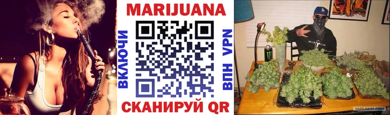 Купить закладки Гатчина Бошки Шишки индика